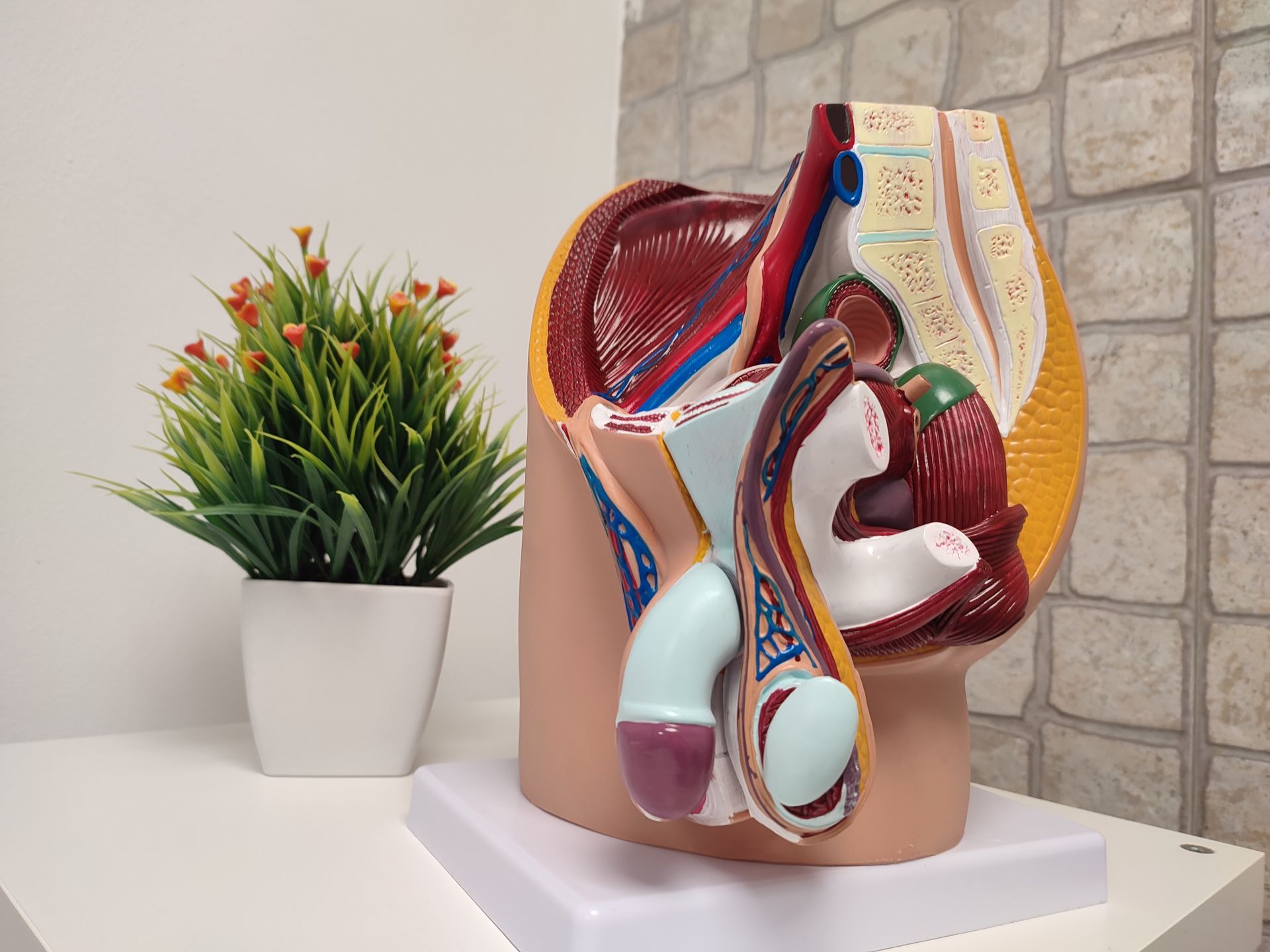 suelo pelvico hombre prostatitis hernia inguinal rehabilitación tratamiento entrenamiento