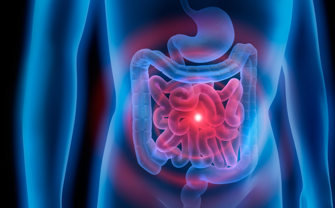 Doctor assessing a patient with food poisoning symptoms during a personalised medical consultation