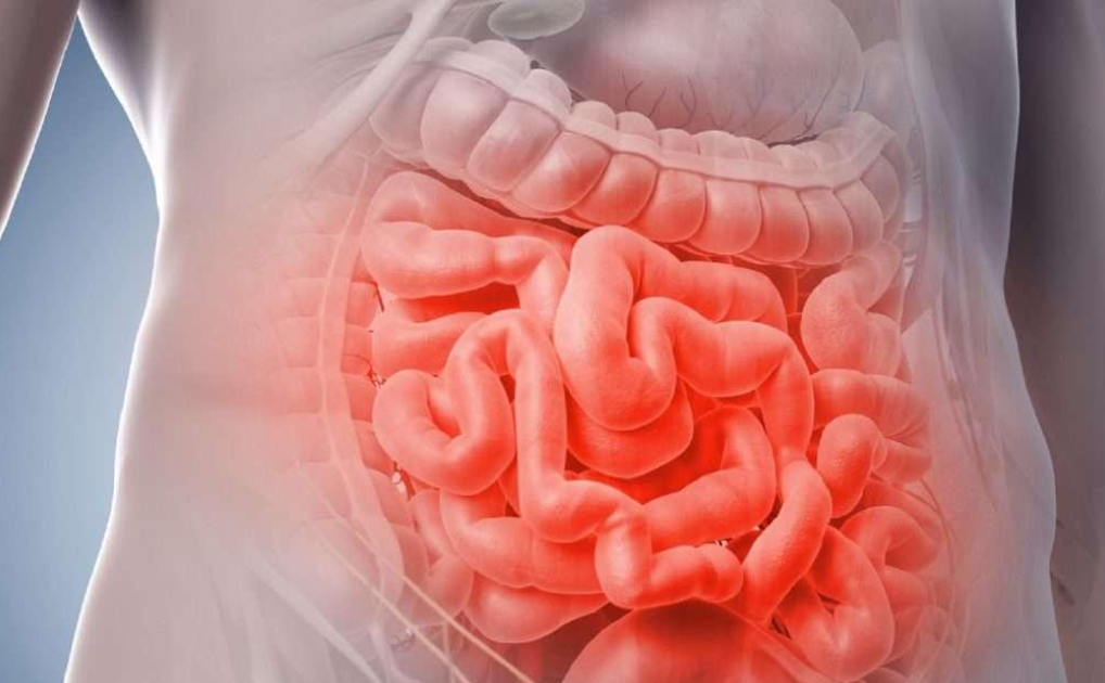 Doctor assessing a patient with vomiting and gastroenteritis symptoms in Mallorca