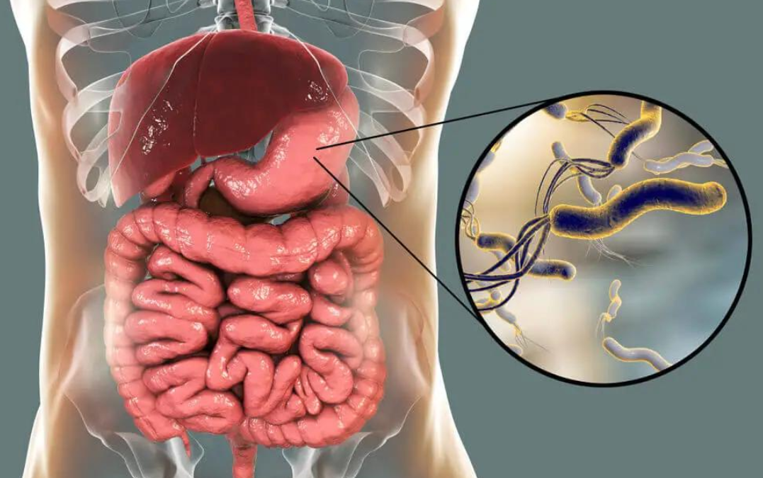 Doctor assessing a traveller with diarrhoea and dehydration symptoms during a medical consultation i