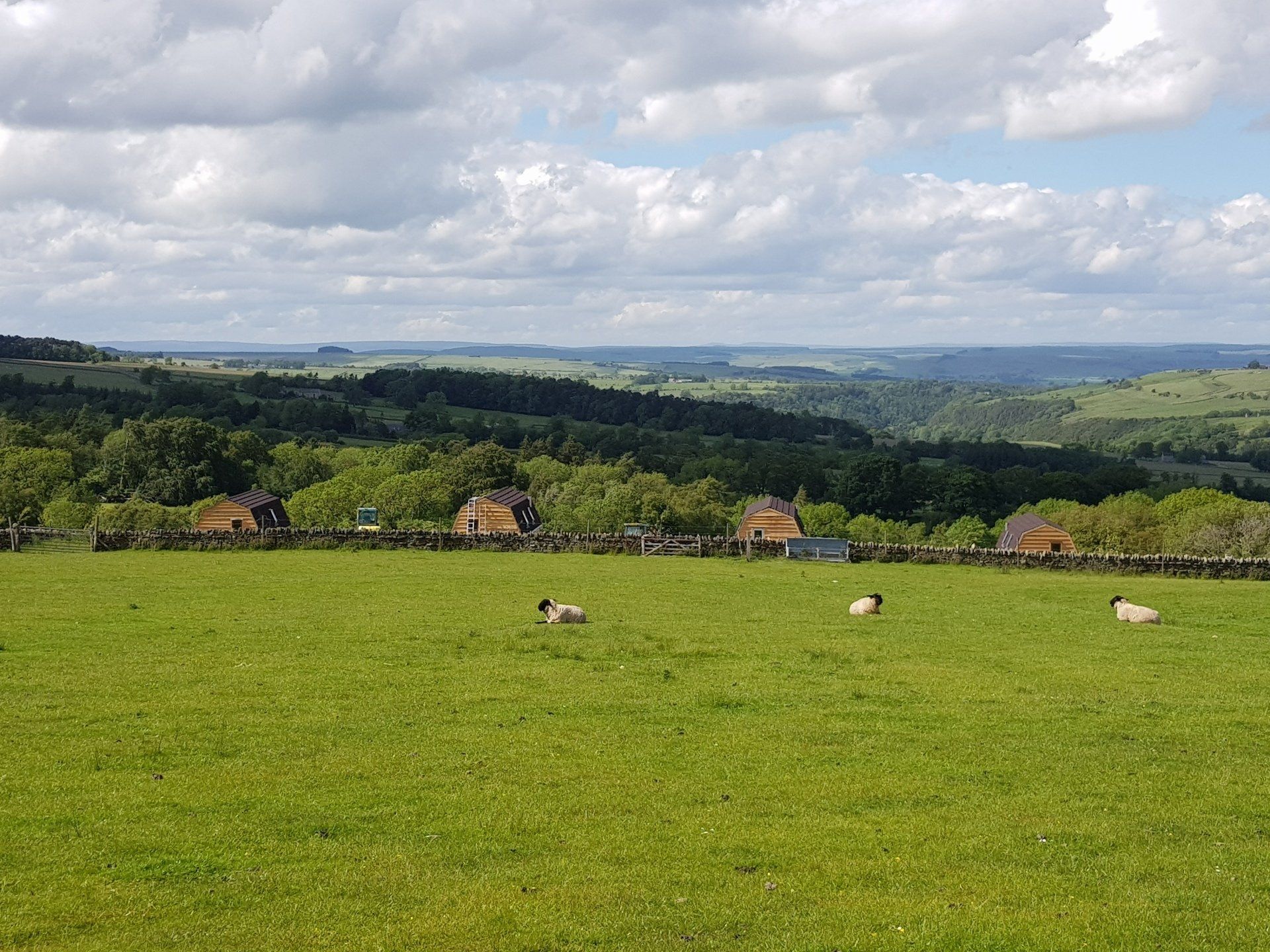 Landscape view of the campsite