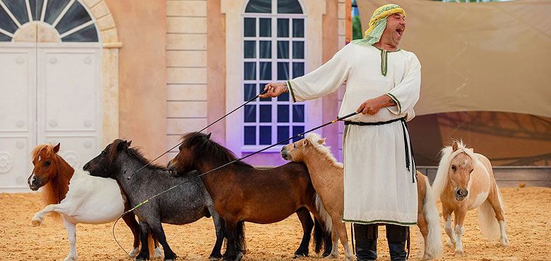 Mini Ponys von-Bartolo Messina Mini-Ponys-von-Bartolo-Messina