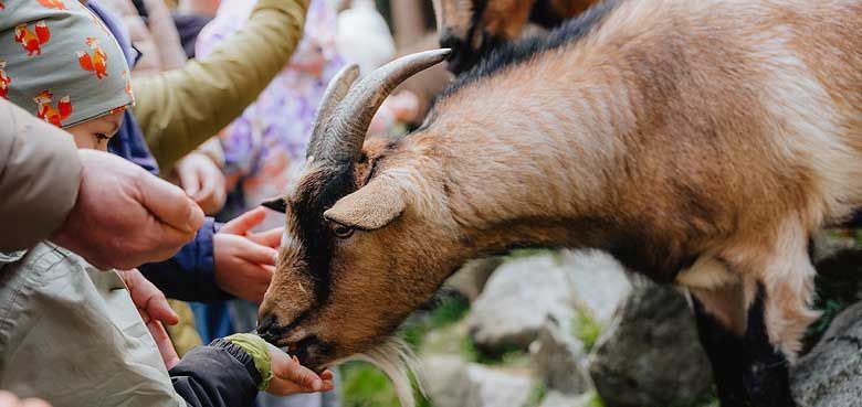 35 Jahre Bayern-Park 2026 35 Jahre Bayern-Park 2026