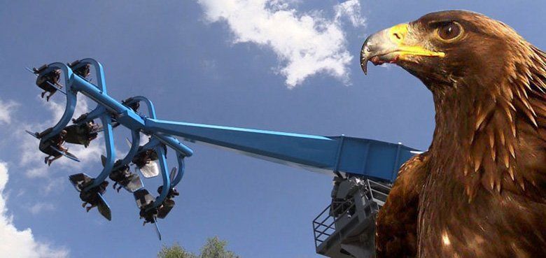 Duell der Adler im Bayern-Park Beim Duell der Adler im Bayern-Park bestimmt der Fahrgast selbst die Intensität des Fahrablaufes. Ob mit Looping oder ohne - das entscheidet der Fahrgast selbst.