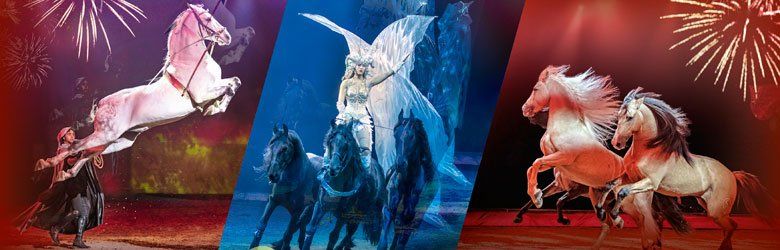 CAVALLUNA- CELEBRATION CAVALLUNA- CELEBRATION