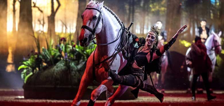 Cavalluna -Land der Tausend Träume. - Wilde Pferde Wilde Pferde - Cavalluna -Land der Tausend Träume.