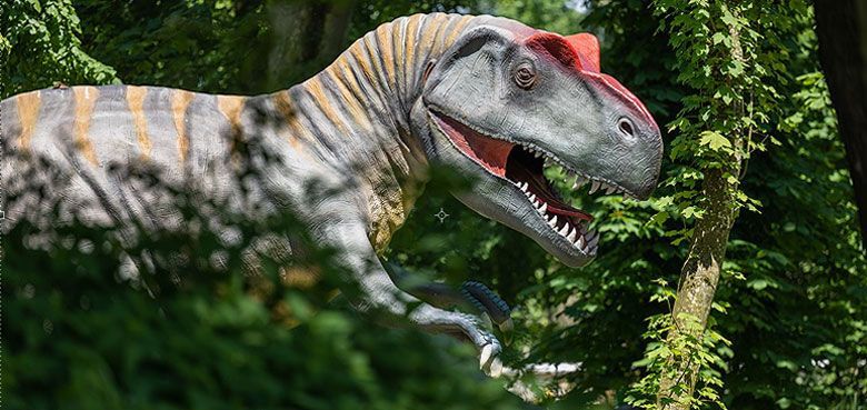 Dinoland Dinoland