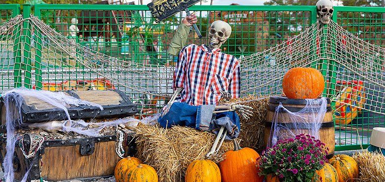 Gruselige und aufwendige Halloween-Dekoration im gesamten Eifelpark. Gruselige und aufwendige Halloween-Dekoration im gesamten Eifelpark.