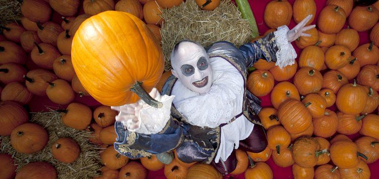 180000 Kürbisse im Europa-Park 180000 Kürbisse im Europa-Park