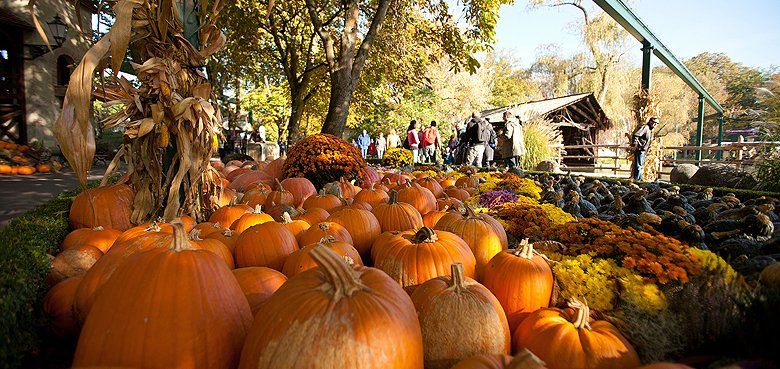 Europa-Park HalloWinter Europa-Park Hallowintger