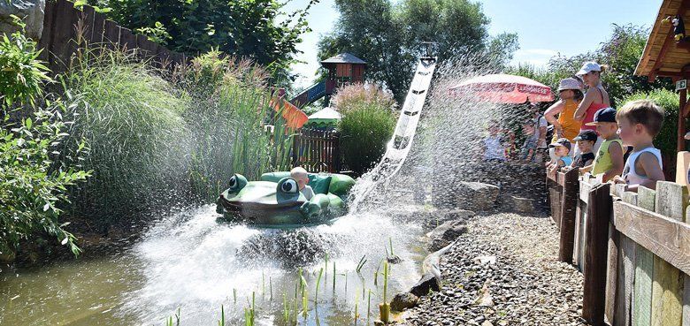 Funny World Attraktion Funny World Mexikanischer Wüstenfrosch