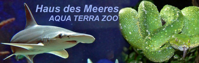 Haus des Meeres Banner Haus des Meeres Wien - Aqua Terra ZOO