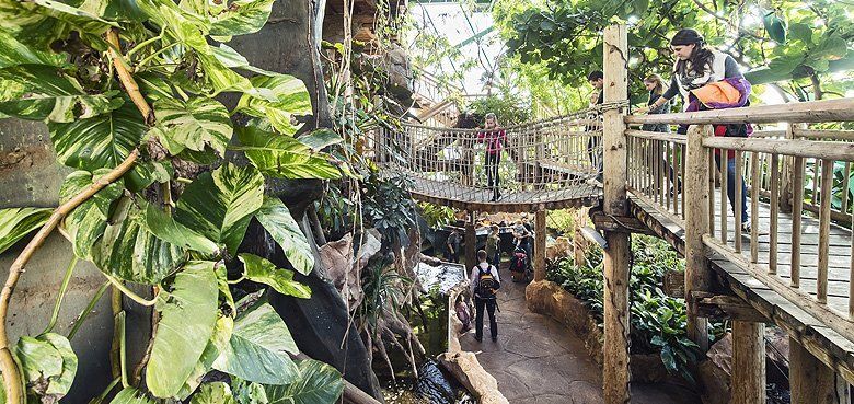 Tropenhaus Haus des Meeres Ein Highlight ist das Tropenhaus im Haus des Meeres