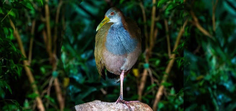 Europa-Park öffnet 2024 vor dem offiziellen Saisonstart. Europa-Park Saisonstart 2024