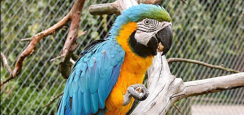 Jaderpark Tierpark Jaderpark Tierpark