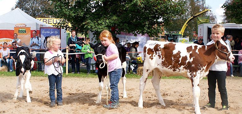 Kreistierschau auf dem Krewelshof Kreistierschau auf dem Krewelshof