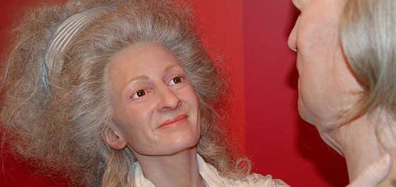 Erdmännchen - Serengeti-Park Serengeti-Park Erdmännchen