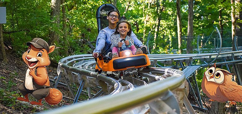 Ein Alpin-Coaster für Oskarshause Oskarshausen bekommt 2024 einen Alpine-Coaster
