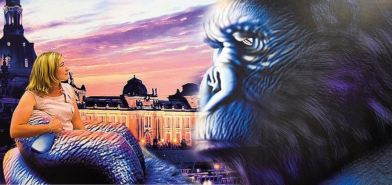 Steinwasen-Park Tierpark Wildpark Steinwasen-Park Tierpark