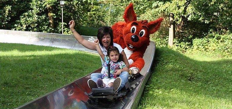 Panorama-Park Fichtenflitzer Panorama-Park Fichtenflitzer