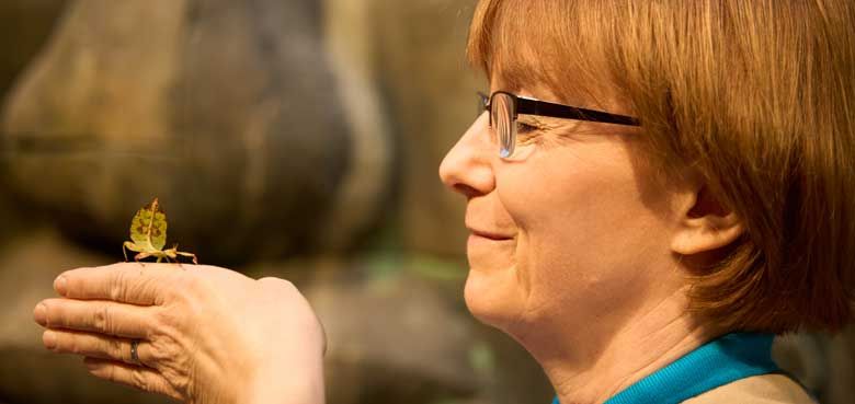 Expedition Regenwald – Insekten hautnah! SEA LIFE Expedition Regenwald – Insekten hautnah!