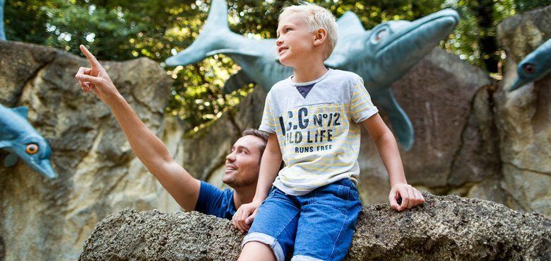 Abenteuerspielplatz Steinwasen-Park Der Abenteuerspielplatz im Steinwasen-Park mit Wasserspritzen, Röhrenrutsche, Hängebrücke und Kletterwand