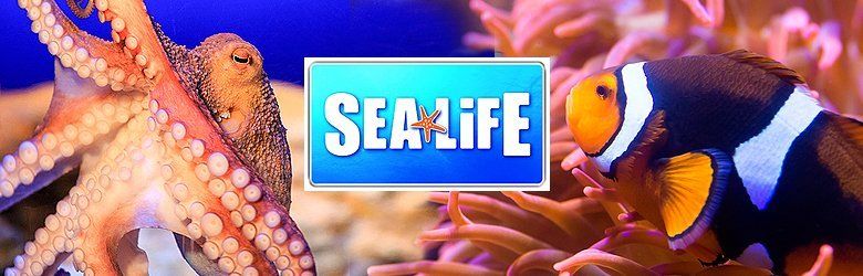 Sea Life Deutschland Sea Life Deutschland