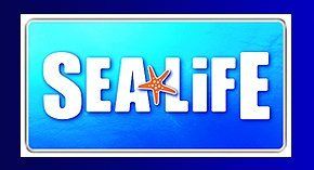 Hier geht es zur Sea Life Homepage