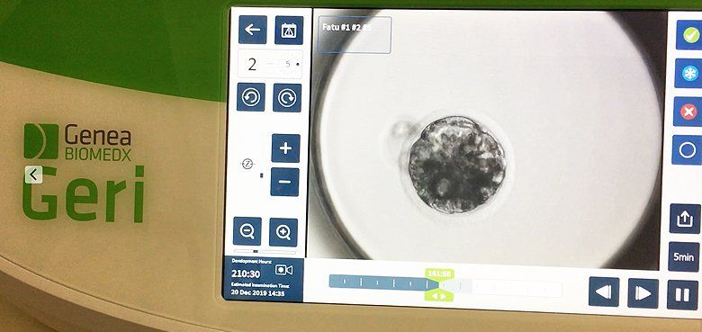 Serengeti-Park Hodenhagen Nach erfolgreichen Wochen ist Tierpark, Freizeitpark und Lodges wieder geöffnet. Serengeti-Park - Nach erfolgreichen Wochen ist Tierpark, Freizeitpark und Lodges wieder geöffnet.