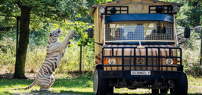 Serengeti-Park Hodenhagen Raubtier Safari Serengeti-Park Hodenhagen Raubtier Safari