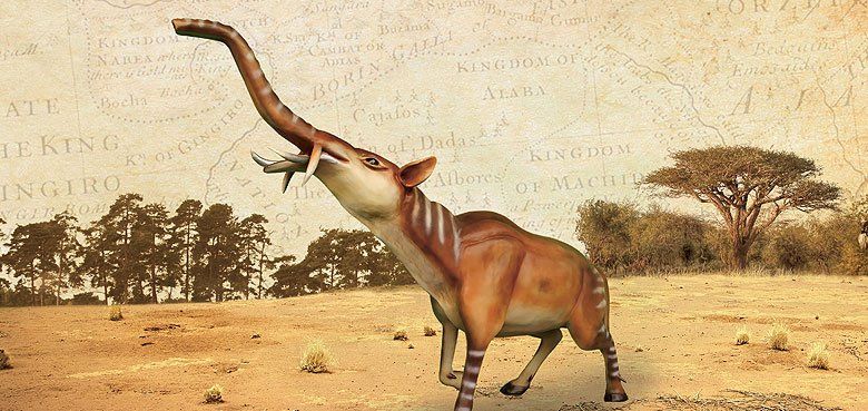 Serengeti-Park-Tiere-der-Zukunft Serengeti-Park-Tiere-der-Zukunft