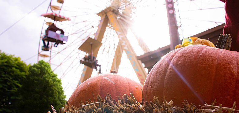 Der gesamte Park ist wunderschön herbstlich dekoriert – mit Kürbissen, Laternen, Lichtern und Strohballen. Der gesamte Park ist wunderschön herbstlich dekoriert – mit Kürbissen, Laternen, Lichtern und Strohballen.