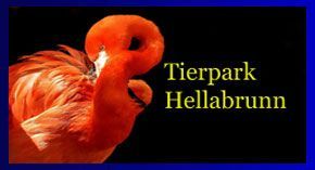 Zur Tierpark Hellabrunn Homepage Zur offiziellen Tierpark Hellabrunn Homepage