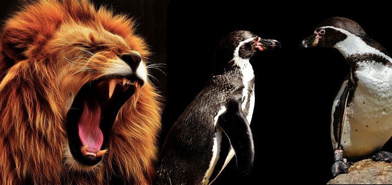 Tierpark Hellabrunn Winter Tierpark Hellabrunn Winter