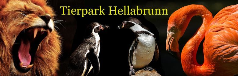 Tierpark Hellabrunn der ZOO in München Tierpark Hellabrunn der ZOO in München