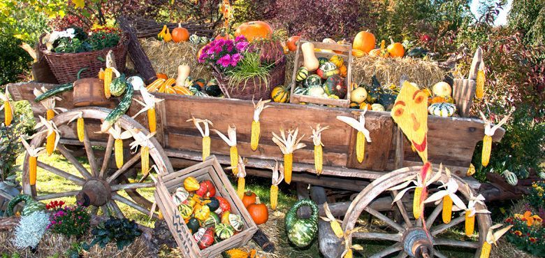 Erlebnispark Tripsdrill präsentiert sich farbenfroh. Ein farbenfroher Freizeitpark