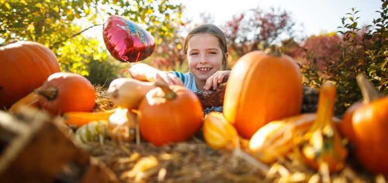 Der Erlebnispark präsentiert sich im Altweibersommer herbstlich geschmückt. Der Erlebnispark präsentiert sich im Altweibersommer herbstlich geschmückt.