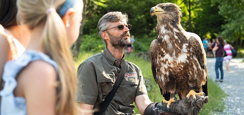 50 Jahre Wildparadies Tripsdrill. 50 Jahre Wildparadies Tripsdrill - Das große Jubiläum muss gefeiert werden.