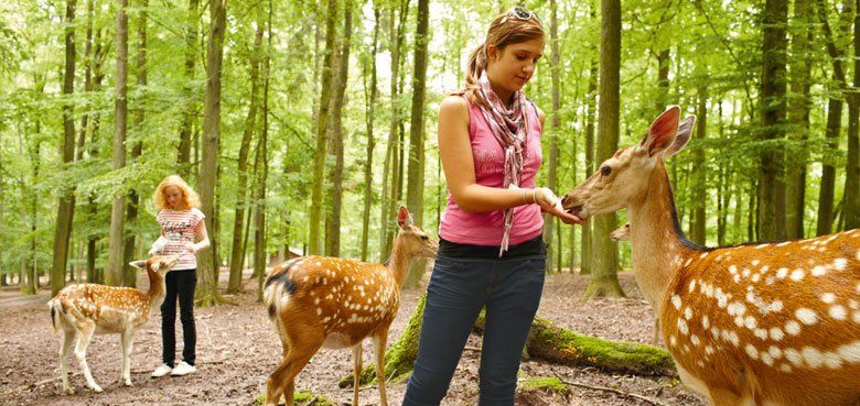 Ab dem 30. April 2021 öffnet das Wildparadies Tripsdrill wieder seine Tore. Ab dem 30. April 2021 öffnet das Wildparadies Tripsdrill wieder seine Tore.