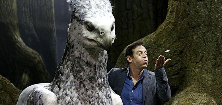 Der Verbotene Wald mit Riesenspinne Aragog und Hippogreif Seidenschnabel. Der Verbotene Wald mit Riesenspinne Aragog und Hippogreif Seidenschnabel.