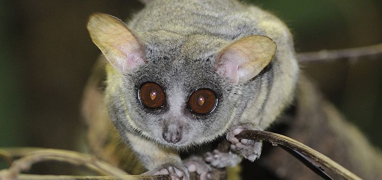 Weltvogelpark Walsrode Winterfütterung Weltvogelpark Walsrode Winterfütterung
