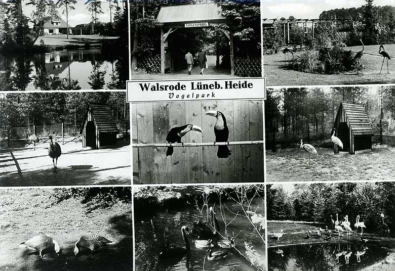 Der Weltvogelpark bietet Besuchern ein buntgefiedertes Erlebnis. Der Weltvogelpark bietet Besuchern ein buntgefiedertes Erlebnis.