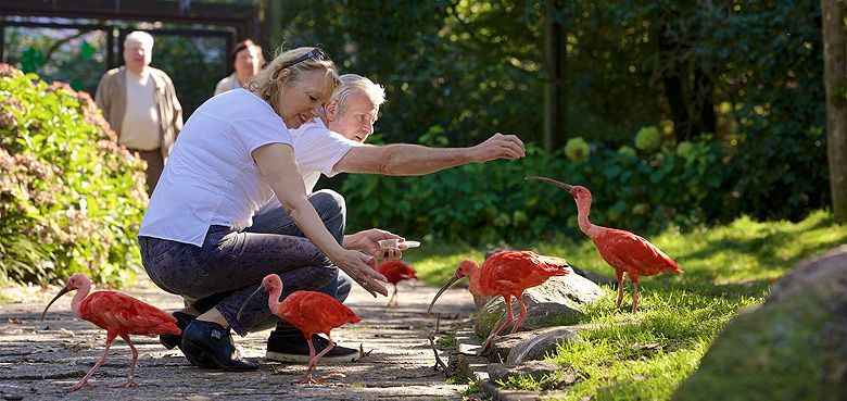 Kontakt in den begehbaren Volieren erwünscht, In den begehbaren Volieren im Weltvogelpark Walsrode ist der Kontakt mit den Tieren erwünscht.