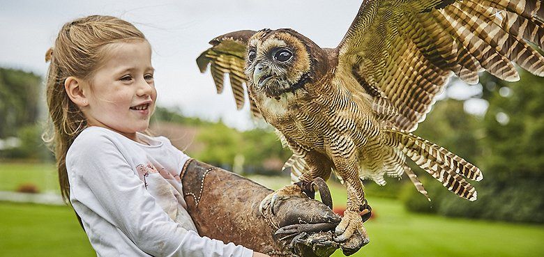 Weltvogelpark Walsrode Mädchen mit Uhu Weltvogelpark Walsrode Mädchen mit Uhu