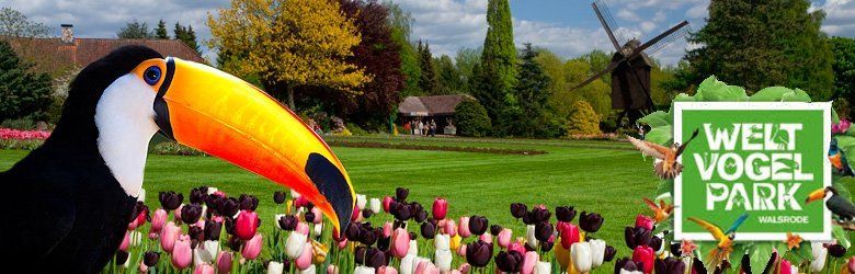 Toverland Freizeitpark Banner Toverland Freizeitpark Lassen Sie sich verzaubern