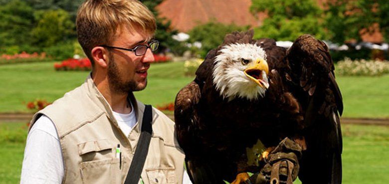 Weltvogelpark Walsrode Fölugshow Weltvogelpark Walsrode Flugshow