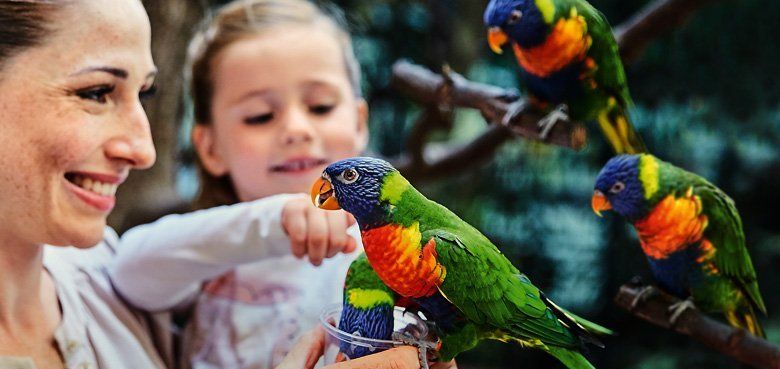 Weltvogelpark Walsrode Saisonstart 2022. Weltvogelpark Walsrode Saisonstart 2022.