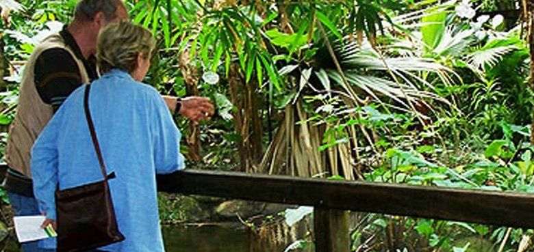 Weltvogelpark Walsrode Regenwaldhalle Weltvogelpark Walsrode Regenwaldhalle