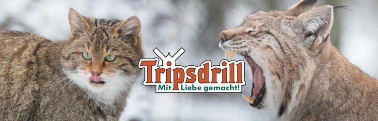 Wildparadies Tripsdrill Wildparadies Tripsdrill Banner