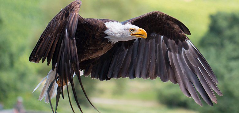 Wildparadies Tripsdrill  Wildparadies Tripsdrill